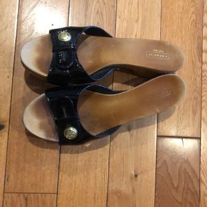 Vintage Coach Slides!